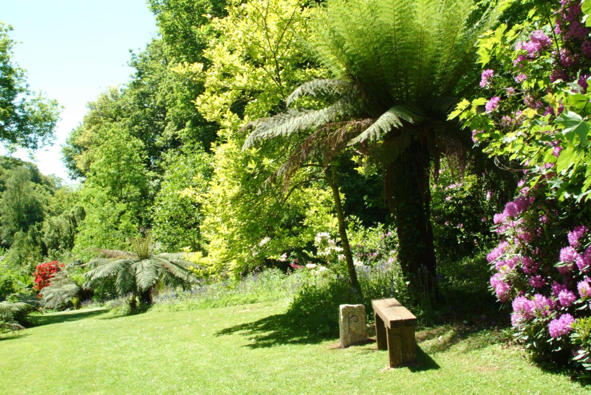 Budock Vean Hotel And Spa Φάλμαουθ Εξωτερικό φωτογραφία